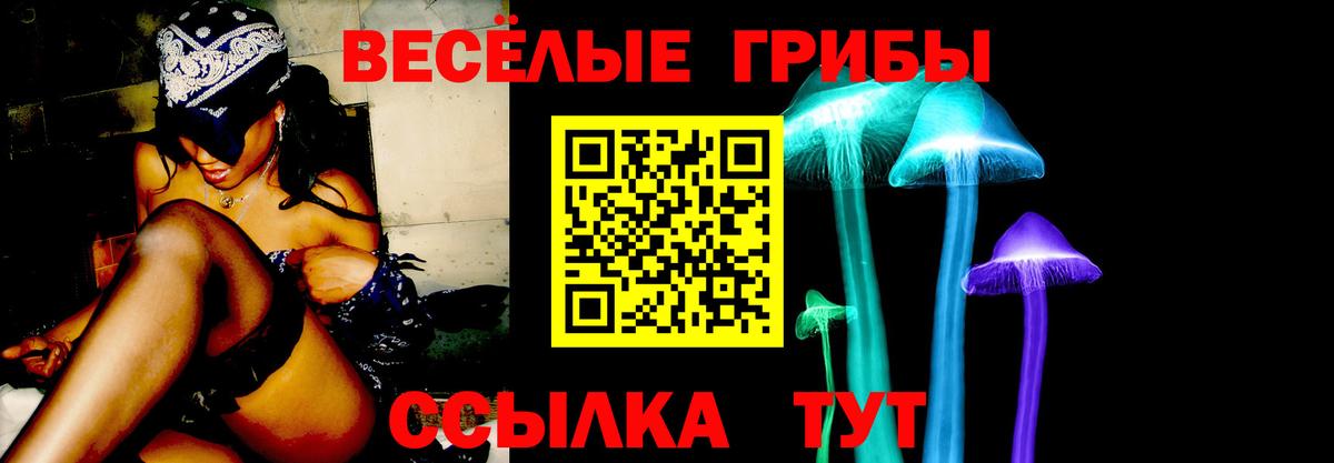 Галлюциногенные грибы прущие грибы  Галлюциногенные грибы Magic Shrooms  Вход с VPN  цена   Барабинск 